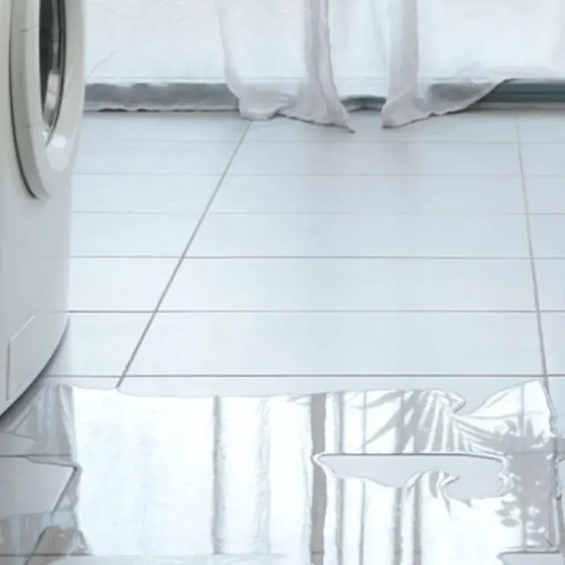 Appliance Leak Cleanup in Hudson, ME
