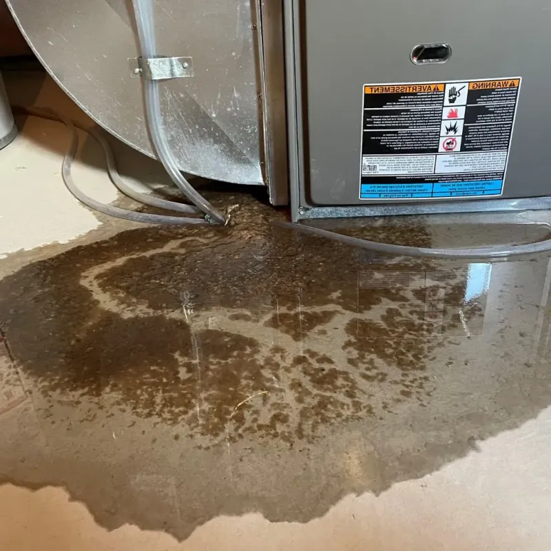 Pipe Burst and Leak Restoration in Hudson, ME